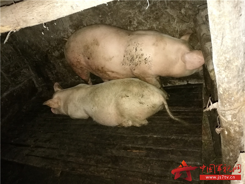 遂宁军分区官兵赴联系村 开展“走基层 送温暖”活动 遂宁军分区官兵赴联系村 开展“走基层 送温暖”活动